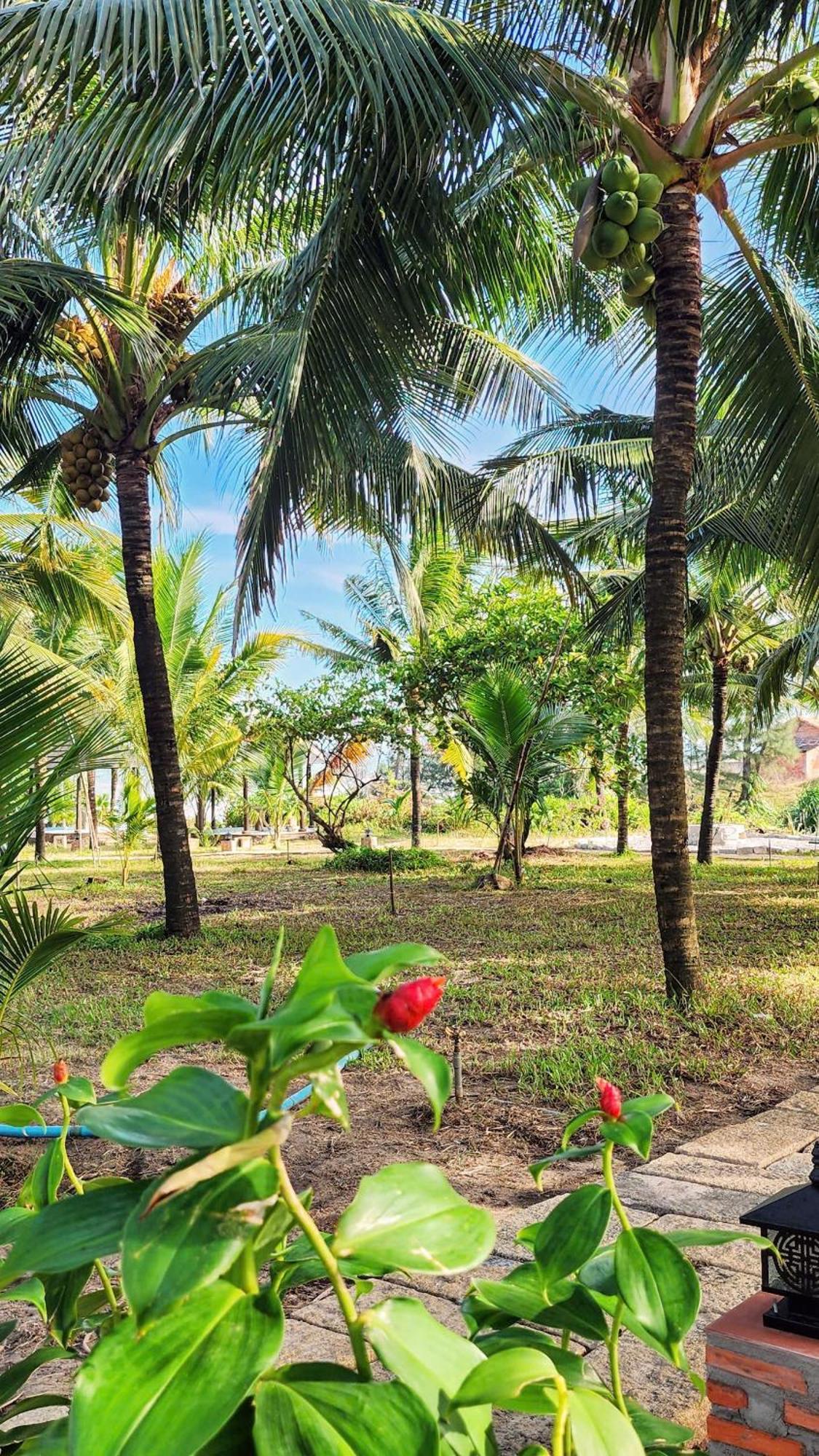 Zen Resort - Villa Beach- Garden Xom Tram المظهر الخارجي الصورة